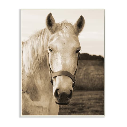Stupell Industries Rustic Sepia tone Portrait of White Horse Wall Plaque